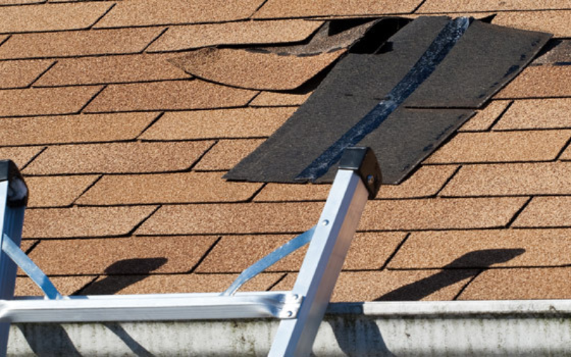 How Can Roof Leaks Be Found Early 