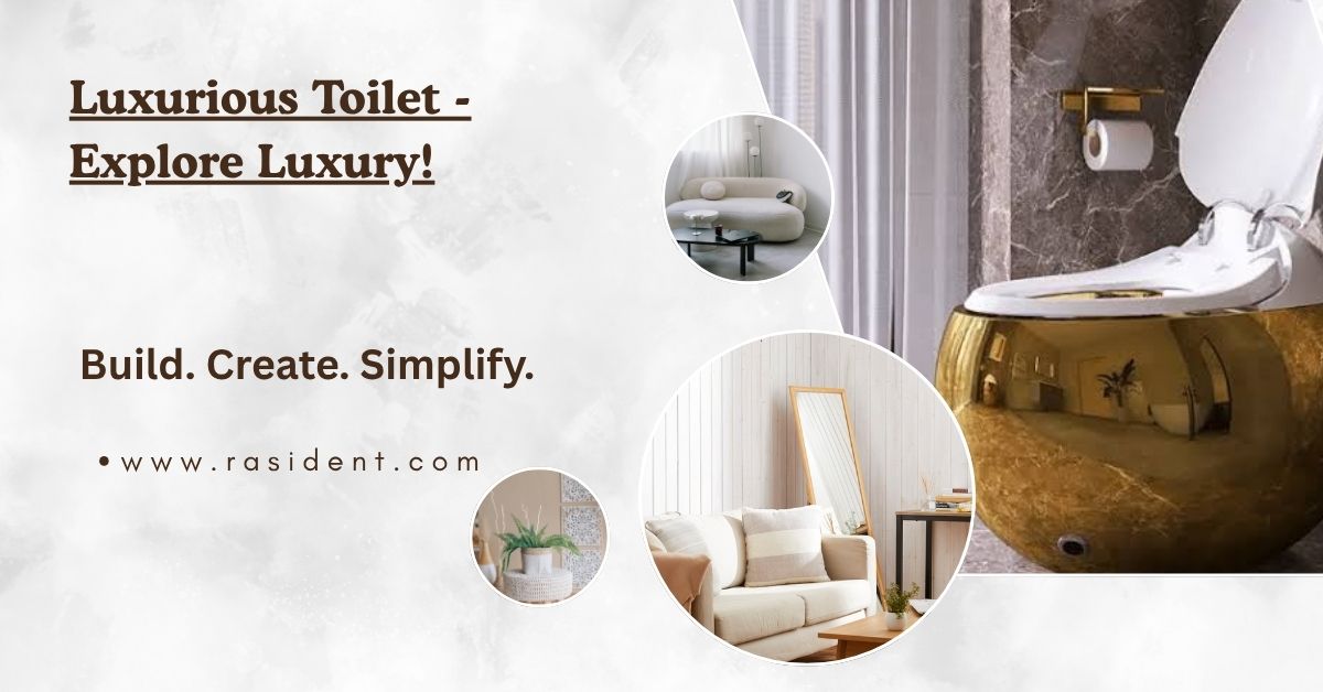 Luxurious Toilet