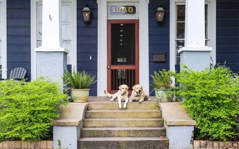 How Can Historic Doors Be Maintained