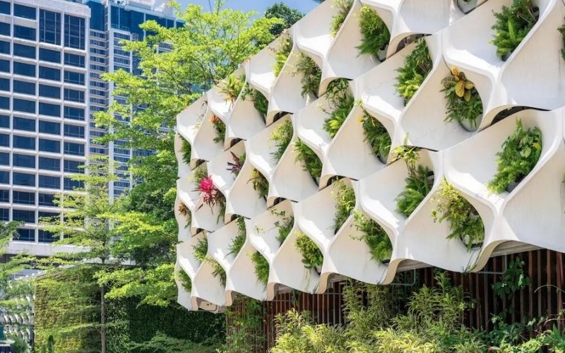 How Can Sustainable Design Be Supported by Green Façades