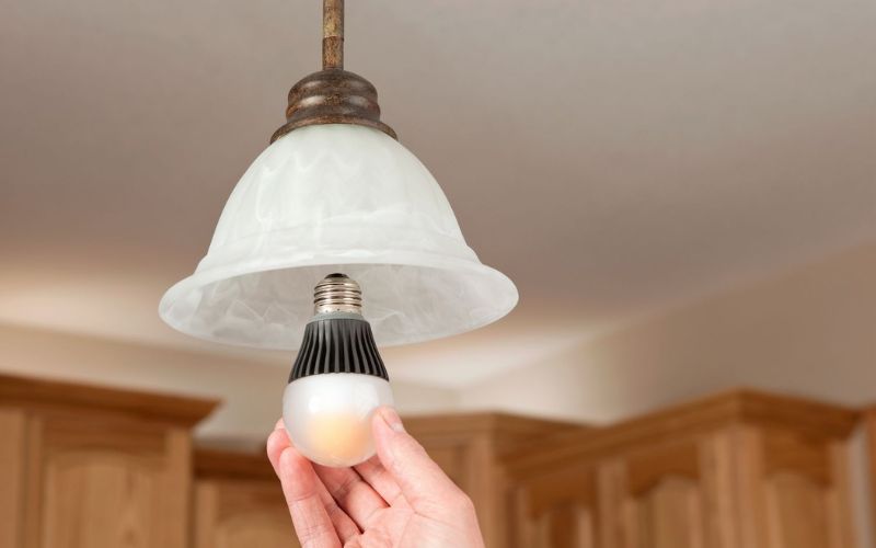 Why Are Smart Bulbs So Common in Apartments